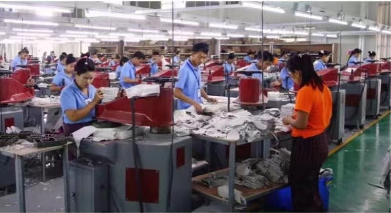 China el mejor Guantes de desfile de algodón en ventas